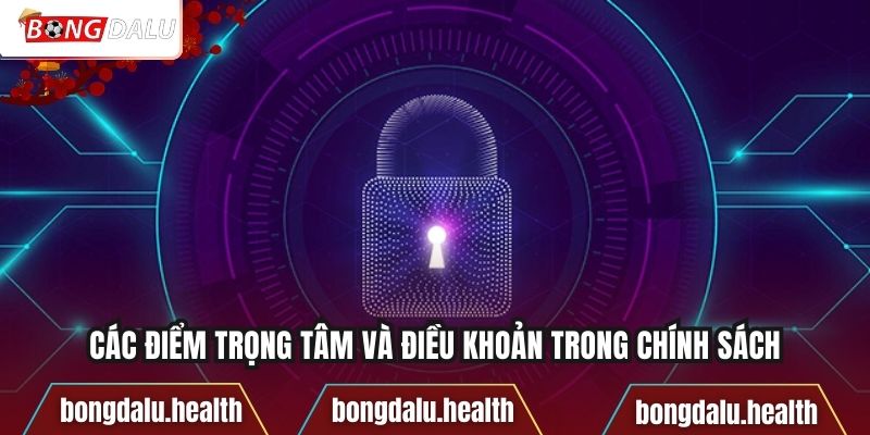 Các điểm trọng tâm và điều khoản trong chính sách