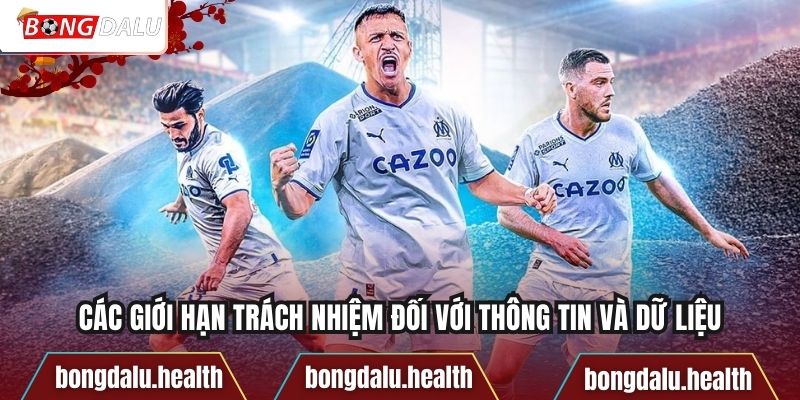 Các giới hạn trách nhiệm đối với thông tin và dữ liệu