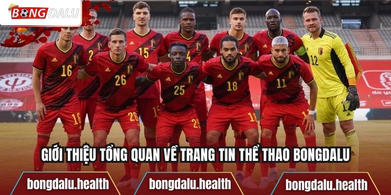 Giới thiệu tổng quan về trang tin thể thao bongdalu