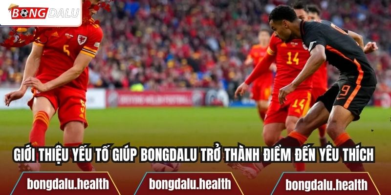 Giới thiệu yếu tố giúp Bongdalu trở thành điểm đến yêu thích 
