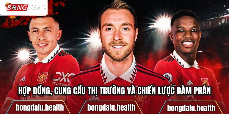 Hợp đồng, cung cầu thị trường và chiến lược đàm phán