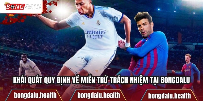 Khái quát quy định về miễn trừ trách nhiệm tại Bongdalu