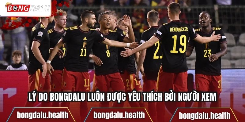 Lý do Bongdalu luôn được yêu thích bởi người xem