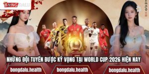 Những Đội Tuyển Được Kỳ Vọng Tại World Cup 2026 Hiện Nay