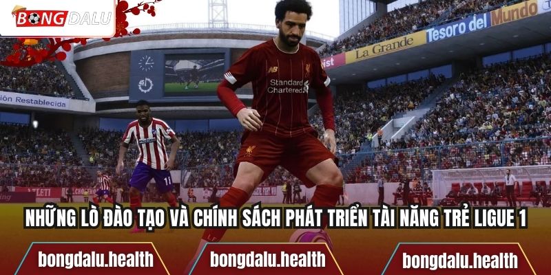 Những lò đào tạo và chính sách phát triển tài năng trẻ Ligue 1